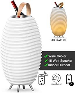 Kooduu Synergy 65 Stereo LED Bluetooth speaker wijnkoeler