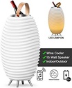 Kooduu Synergy 65 Stereo - Led Bluetooth Speaker & Wine Cooler